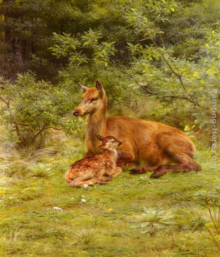 Doe And Fawn In A Thicket painting - Rosa Bonheur Doe And Fawn In A Thicket art painting